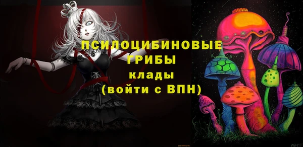 apvp Балабаново
