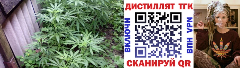 ТГК THC oil  цены   Усинск 