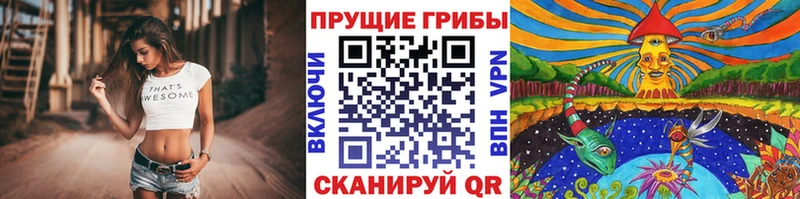 Псилоцибиновые грибы мухоморы  купить  сайты  Усинск 